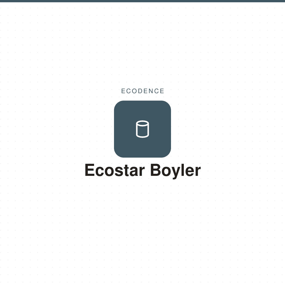 Ecostar Boyler